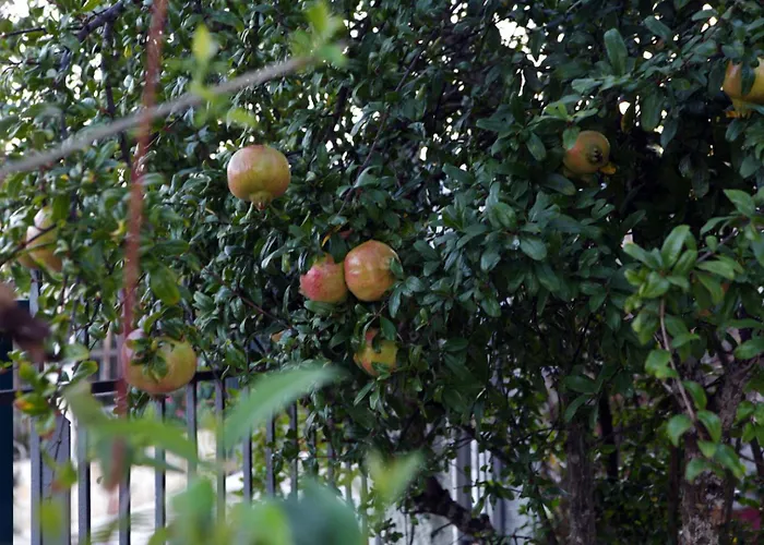 House With Sea Breeze-anemelia Nafplion