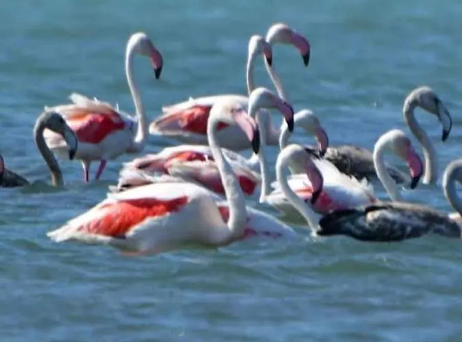 House With Sea Breeze-anemelia * Nafplion