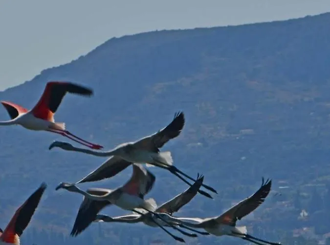 House With Sea Breeze-anemelia Lägenhet *
