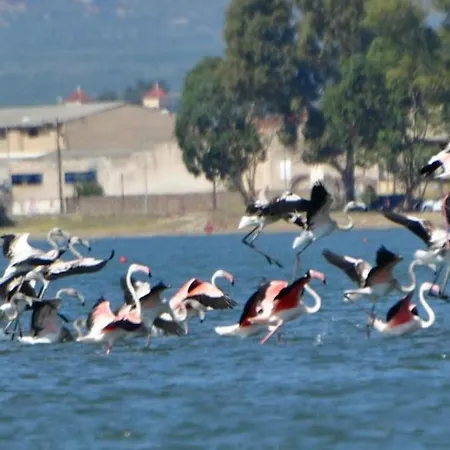 House With Sea Breeze-anemelia Apartmán *