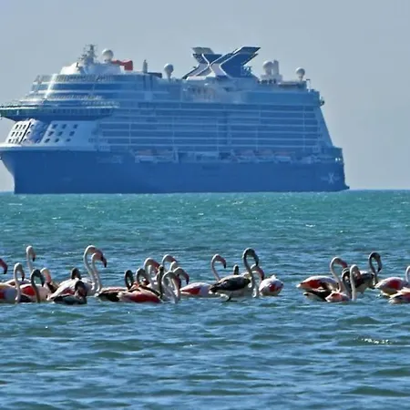 House With Sea Breeze-anemelia Διαμέρισμα Ναύπλιο