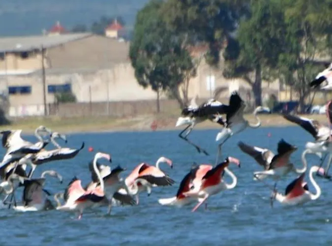 House With Sea Breeze-anemelia Appartement *