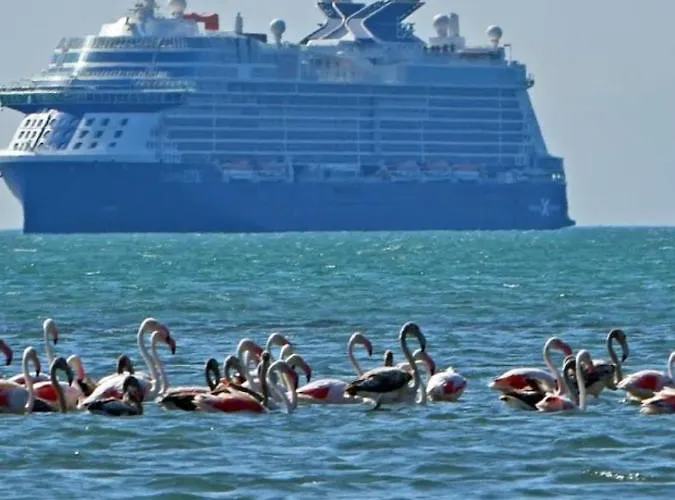 House With Sea Breeze-anemelia Appartement Nauplion
